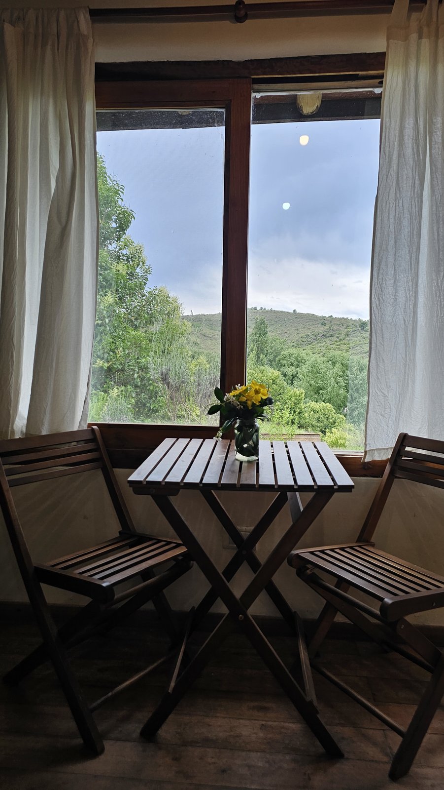 Ventana con vista a la naturaleza